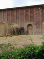 Elefanten.jpg
