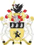 Wappen Nygarde.png