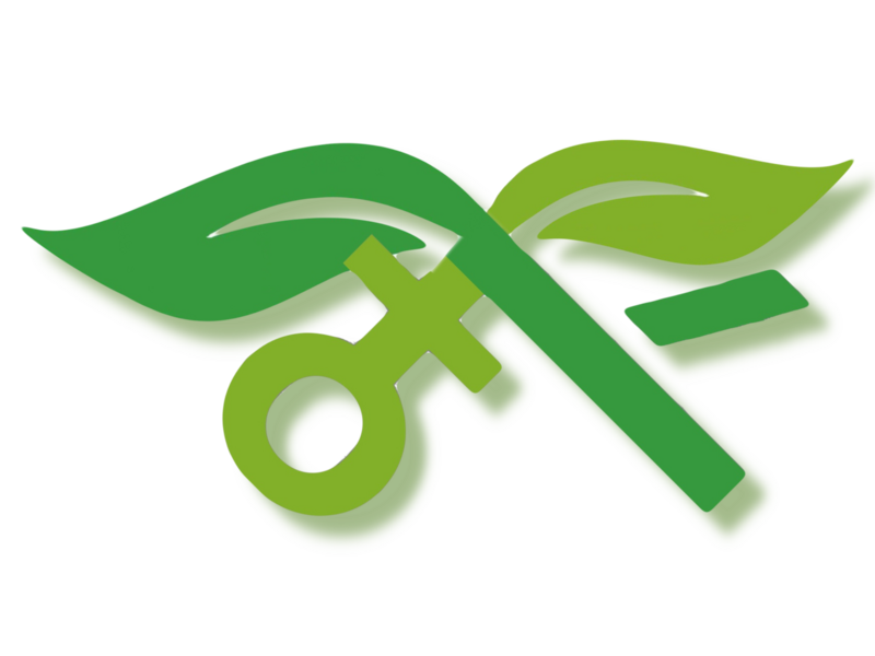 Datei:ÖP Logo.png
