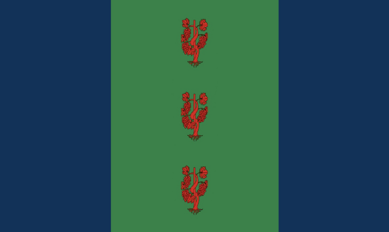 Datei:Derejska alte Flagge.png