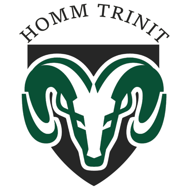 Datei:Homm Trinit.png