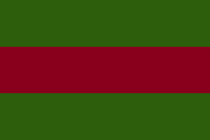 Flagge Provinz Paland.png