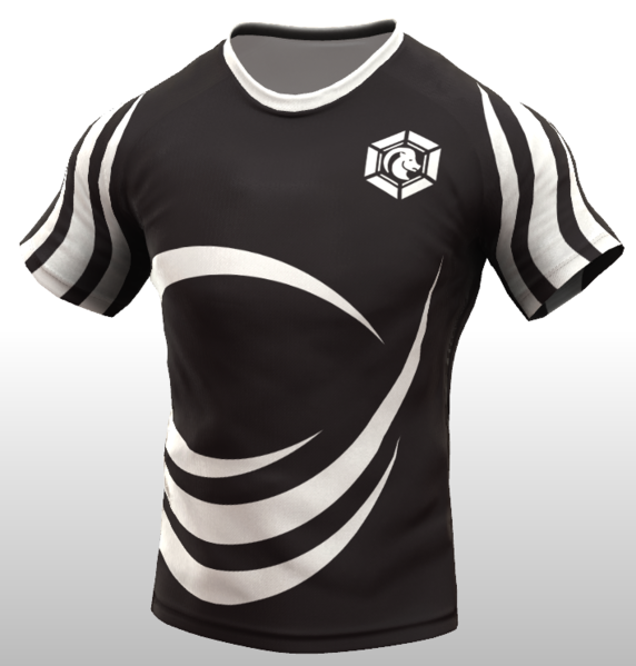 Datei:Nygarde Trikot2.png