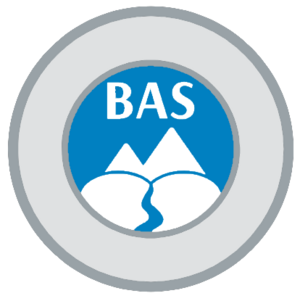BAS Logo Auto.png