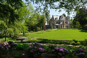 Villa.webp
