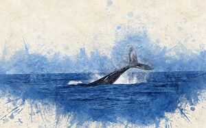 Whale-2998812 960 720.jpg