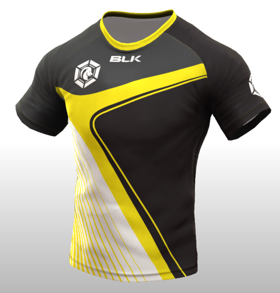 Datei:Nygarde Trikot.png